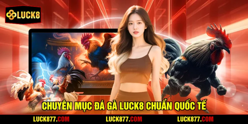 Chuyên mục đá gà LUCK8 chuẩn quốc tế