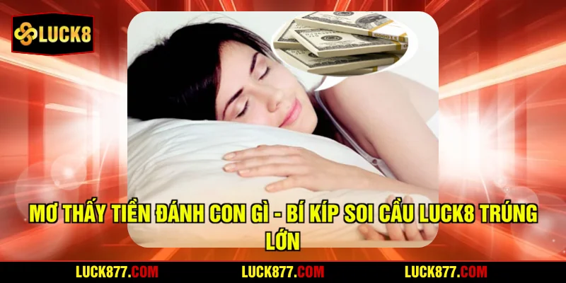Mơ Thấy Tiền Đánh Con Gì - Bí Kíp Soi Cầu LUCK8 Trúng Lớn