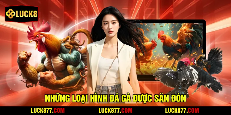 Những loại hình đá gà được săn đón